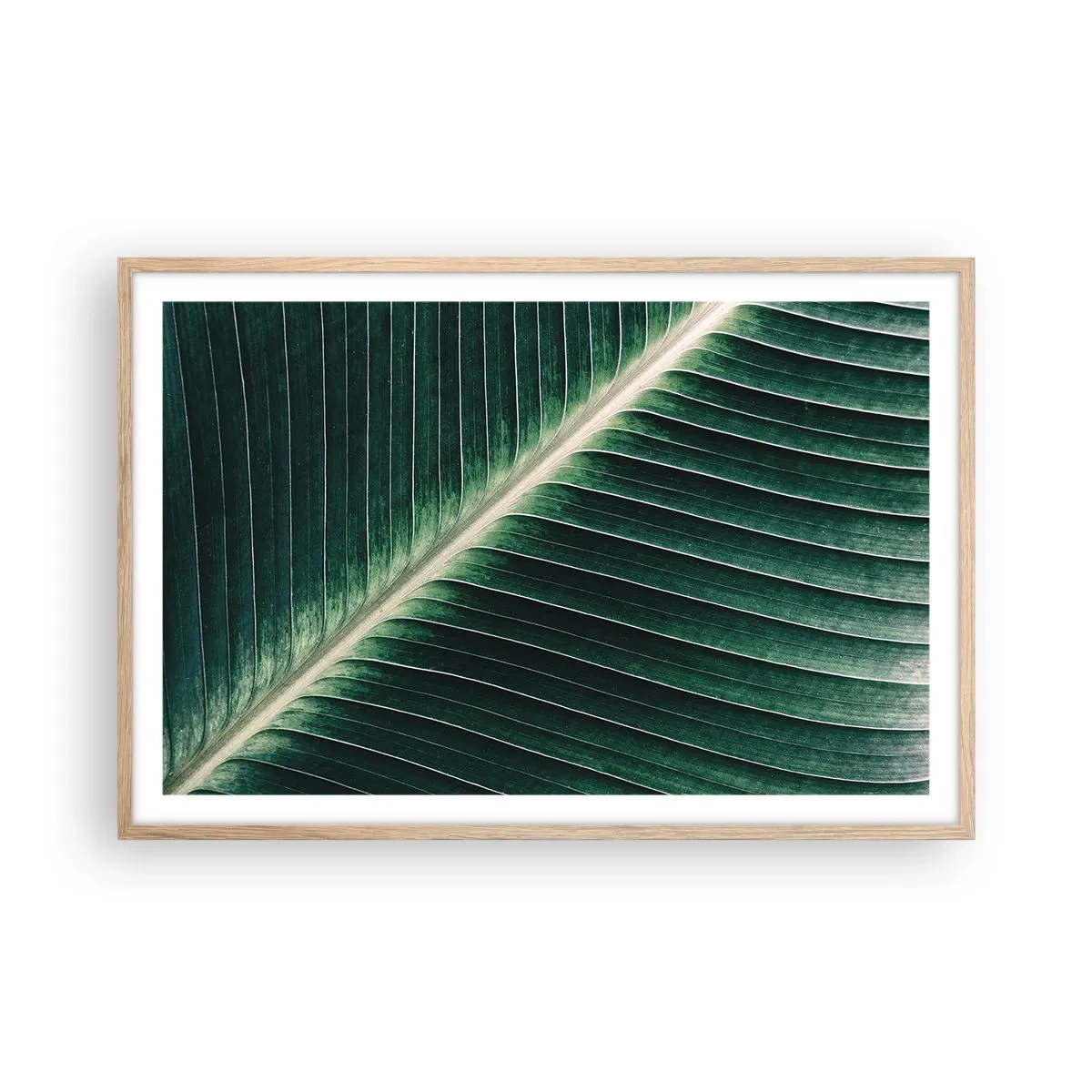 Poszter világos tölgy keretben - A természet ritmusa - 91x61 cm