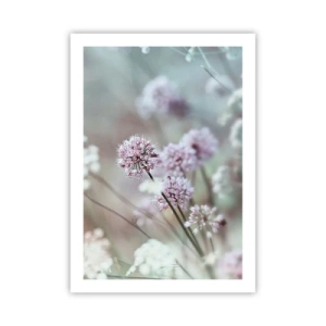 Poszter - Fűszerek édes filigránja - 50x70 cm