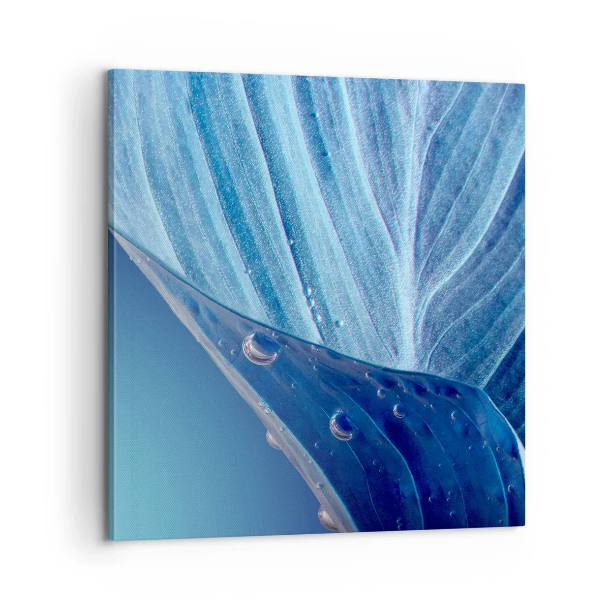 Vászonkép - A kék rejtett cseppjei - 60x60 cm