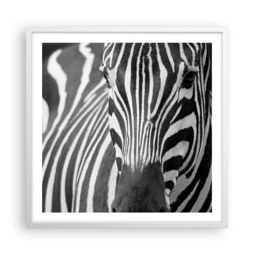 Poszter fekete keretben - A világ fekete-fehér - 60x60 cm