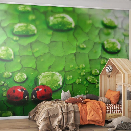Fotótapéta Premium Canvas - Találkozás a zöldben - Természet, Katicabogár, Egy csepp víz - 450x315 cm