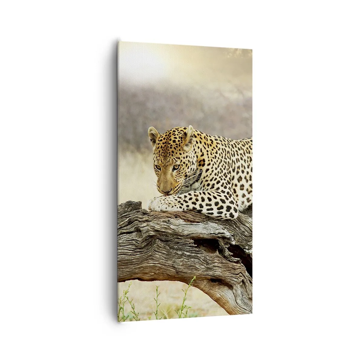 Vászonkép - A magam útjait járom - 65x120 cm