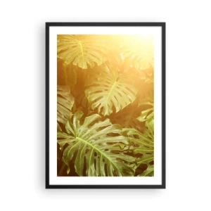 Poszter fehér keretben - A Monstera levelei a nap sugaraiban trópusi hangulatot teremtenek - 50x70cm - A zöldbe belépni... - Modern fali dekoráció nappalihoz és hálószobához ARTTOR