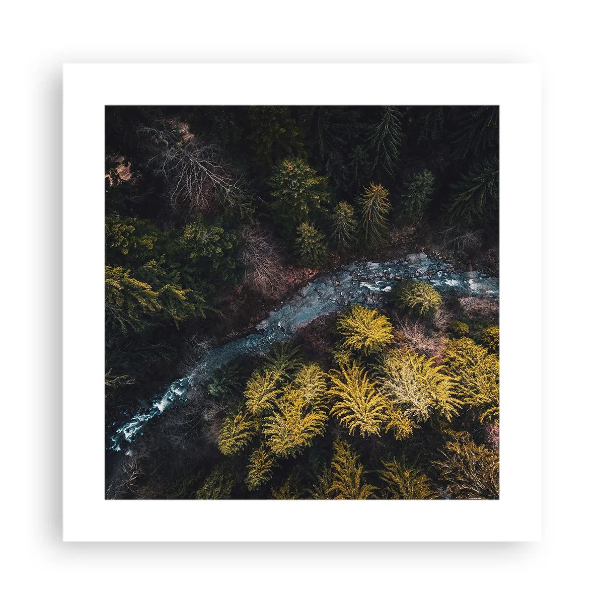 Poszter - Gyorsan, egyre gyorsabban - 40x40 cm