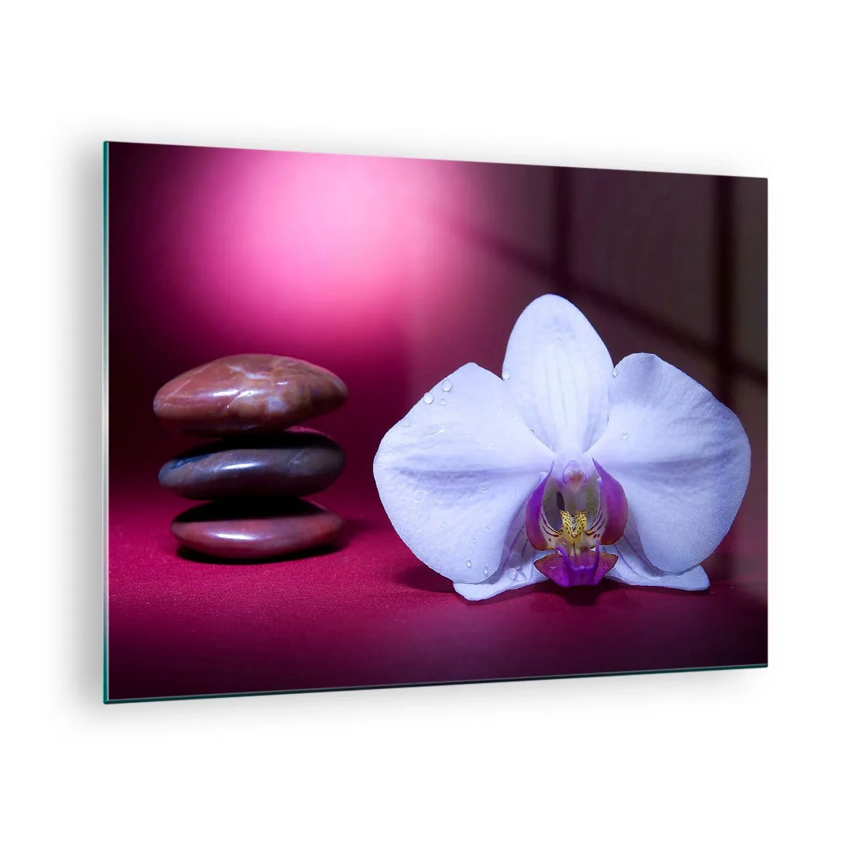 Üveg kép - Fehér orchidea és kövek lila fény hátterében - 70x50cm - A frissesség tanulmánya lilában - Modern fali dekoráció nappalihoz és hálószobához ARTTOR