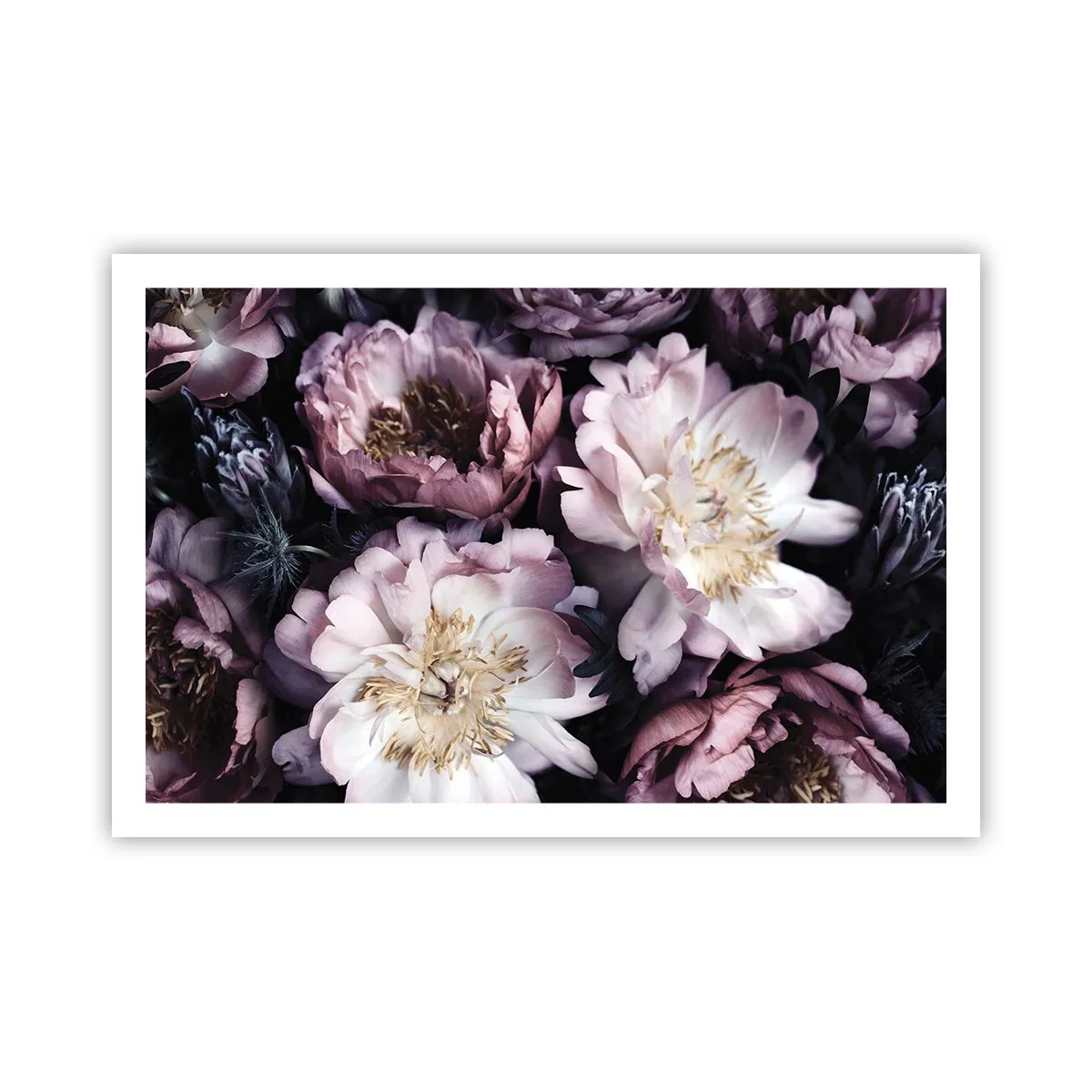 Poszter - Régi stílusú csokor - 91x61 cm