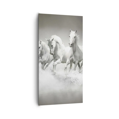 Vászonkép - Fehér őrület - 65x120 cm