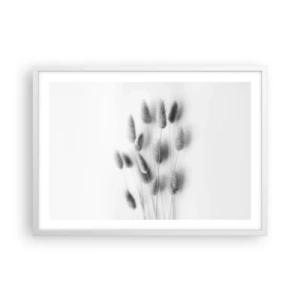 Poszter fekete keretben - A bolyhos fű - 70x50 cm