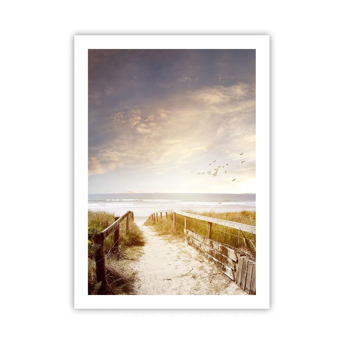 Poszter - A béke tere - 50x70 cm