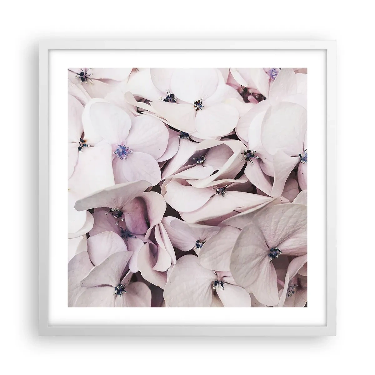 Poszter fekete keretben - A virágok áradatában - 50x50 cm