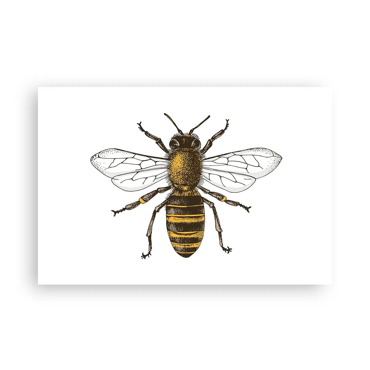 Poszter - Gyönyörű és jó - 91x61 cm