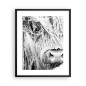 Poszter fehér keretben - Skót vadság - 40x50 cm
