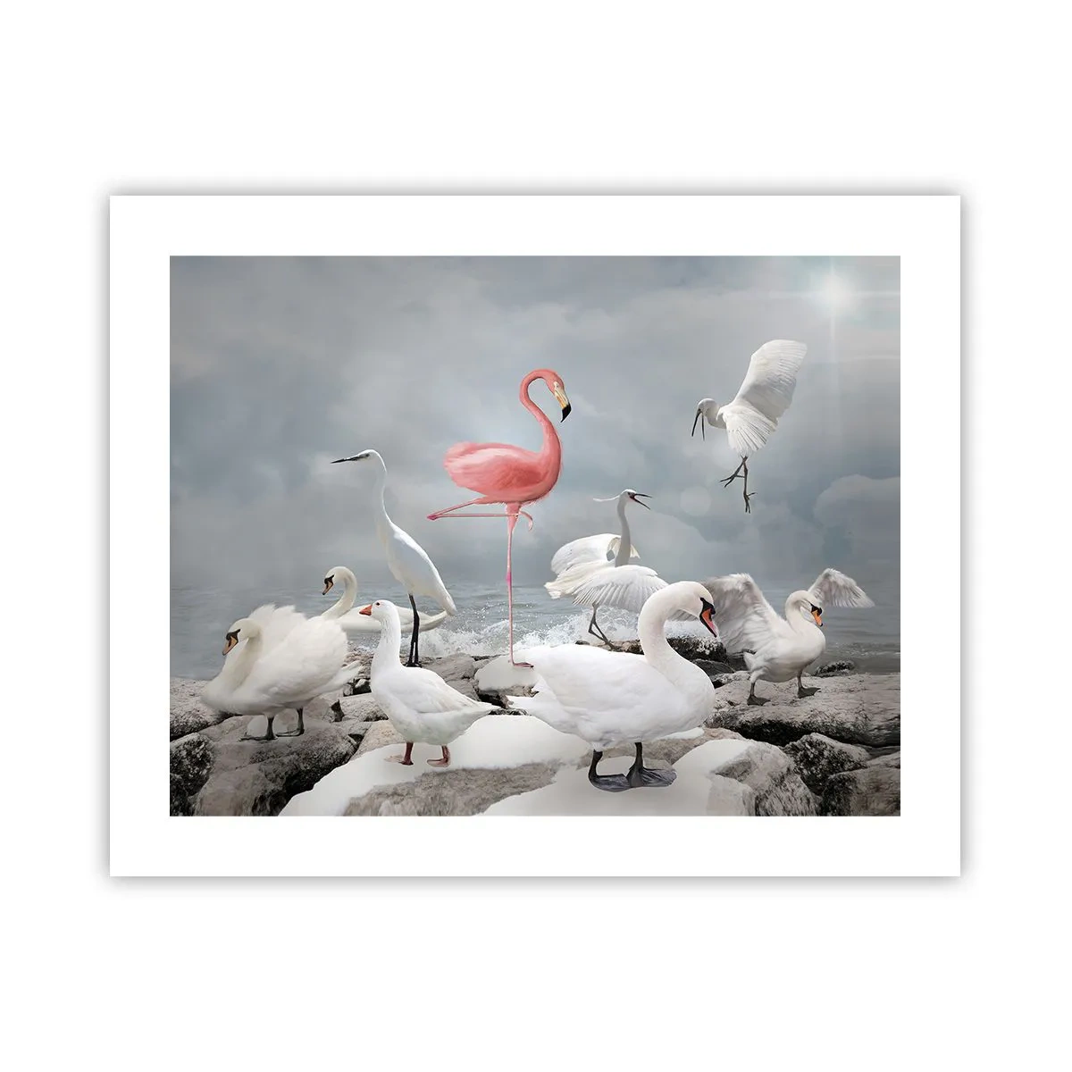 Poszter - Hogy kerültem ide? - 50x40 cm