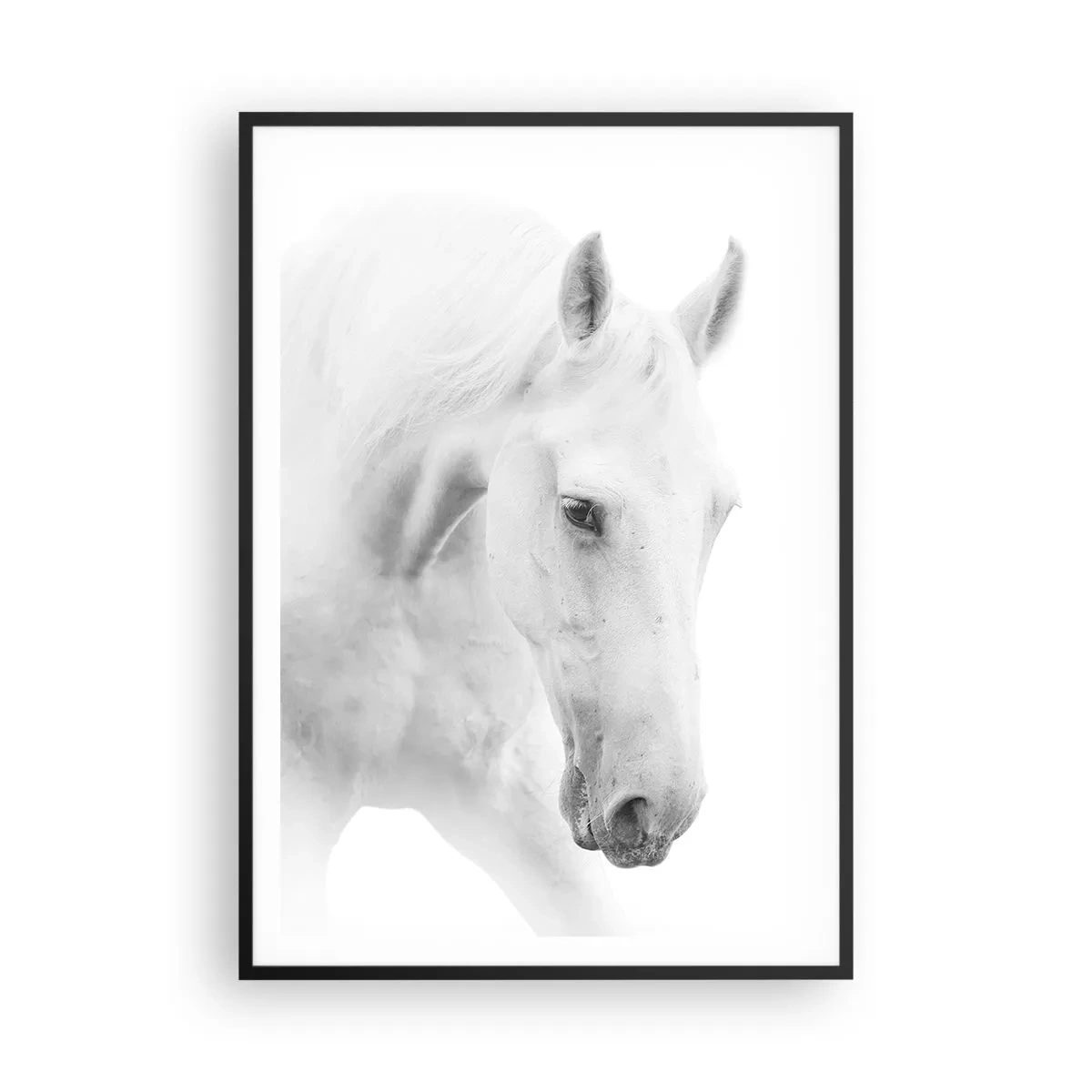 Poszter fehér keretben - Ez a barátság...? - 70x100 cm