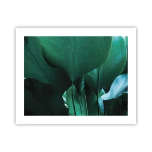 Poszter - A fény felé nézve - 50x40 cm