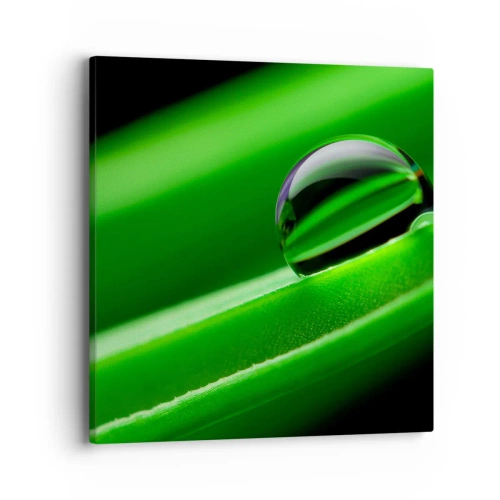 Vászonkép - Élet közelről - 40x40 cm