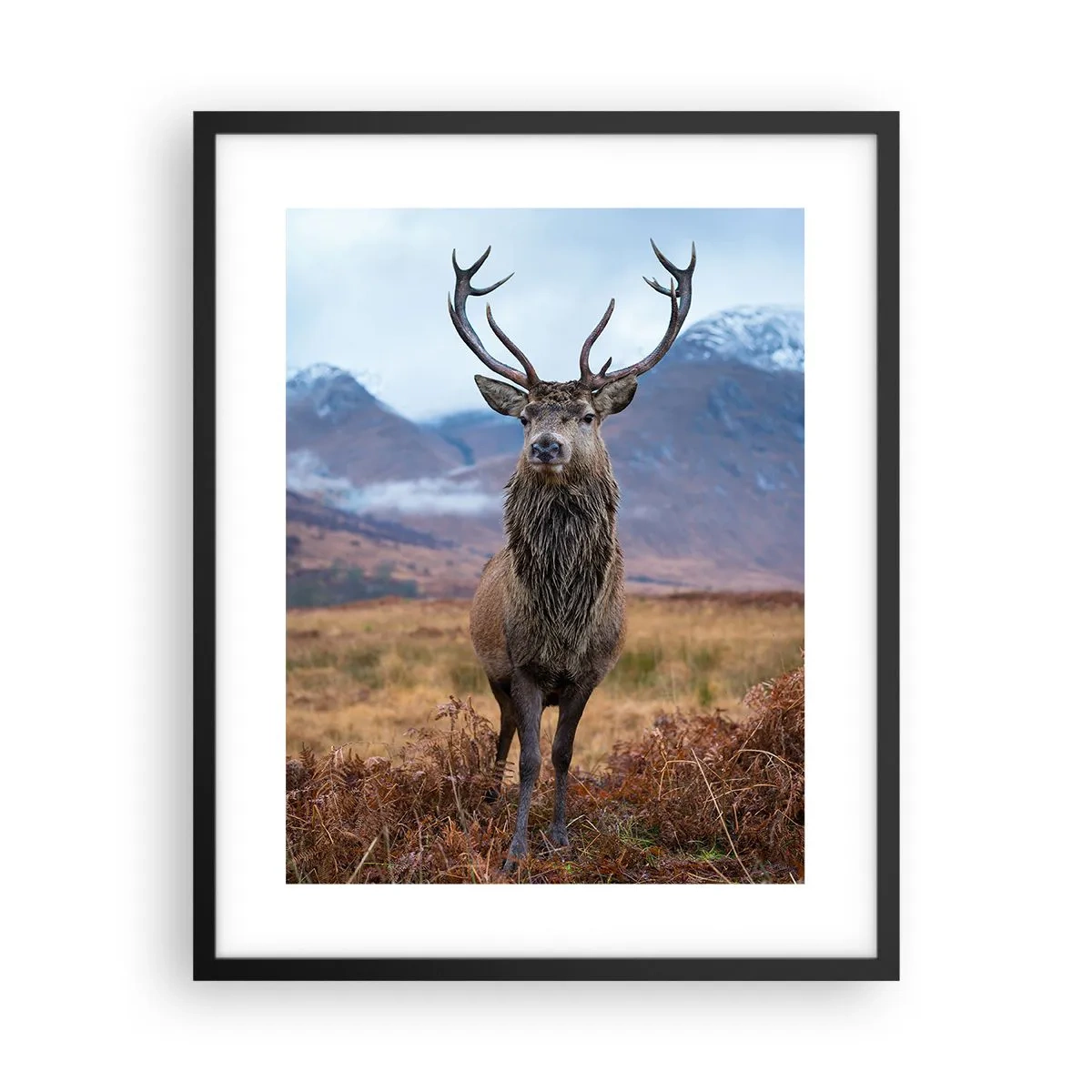 Poszter fehér keretben - Saját földön - 40x50 cm