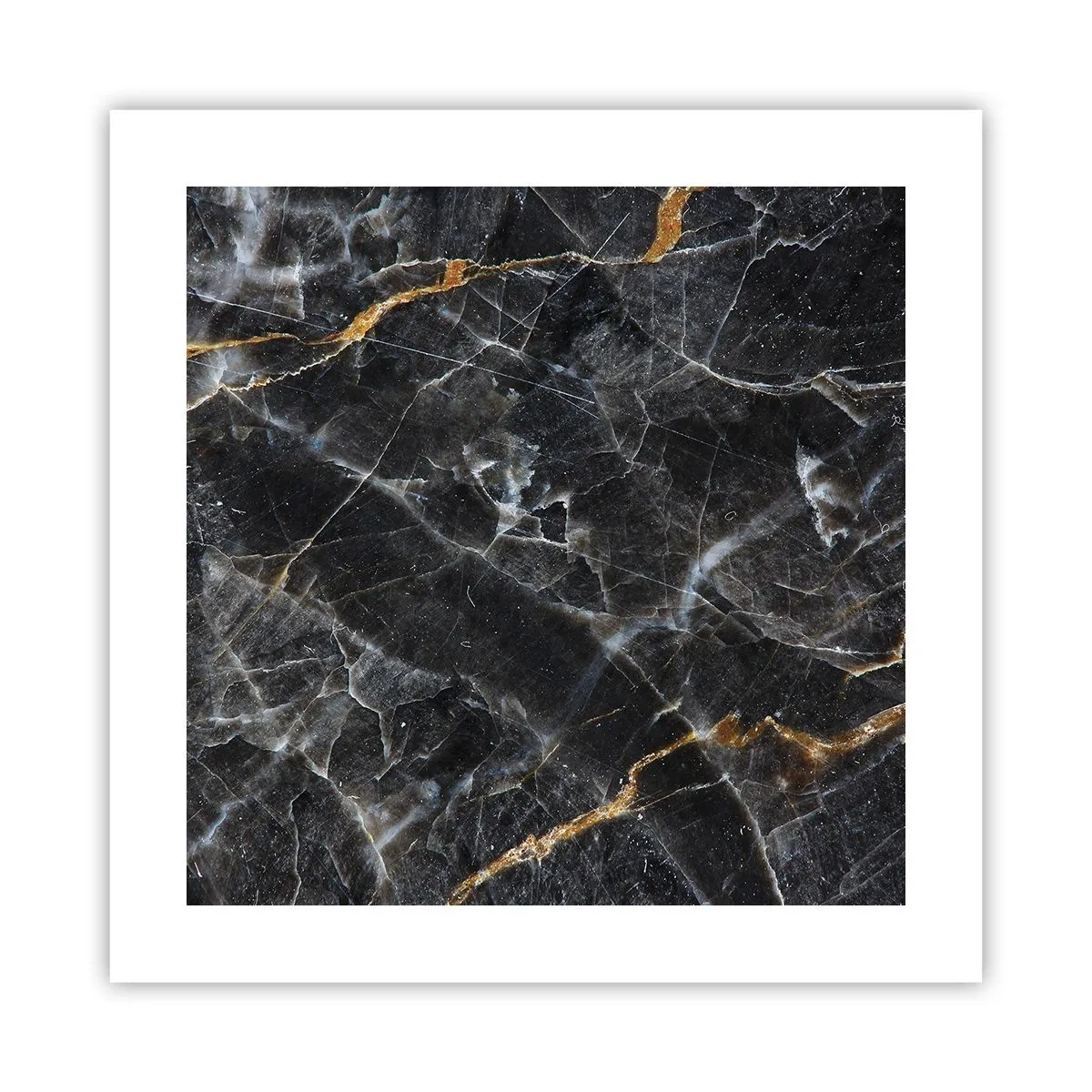 Poszter - A kő belső élete - 40x40 cm