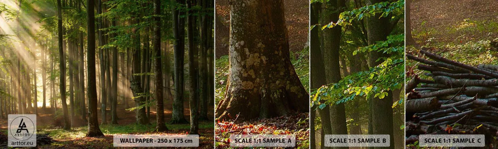 Fotótapéta Minta Premium Sand - Ragyogó tavaszi reggelen - Tájkép, Erdő, Park - 100x30 cm