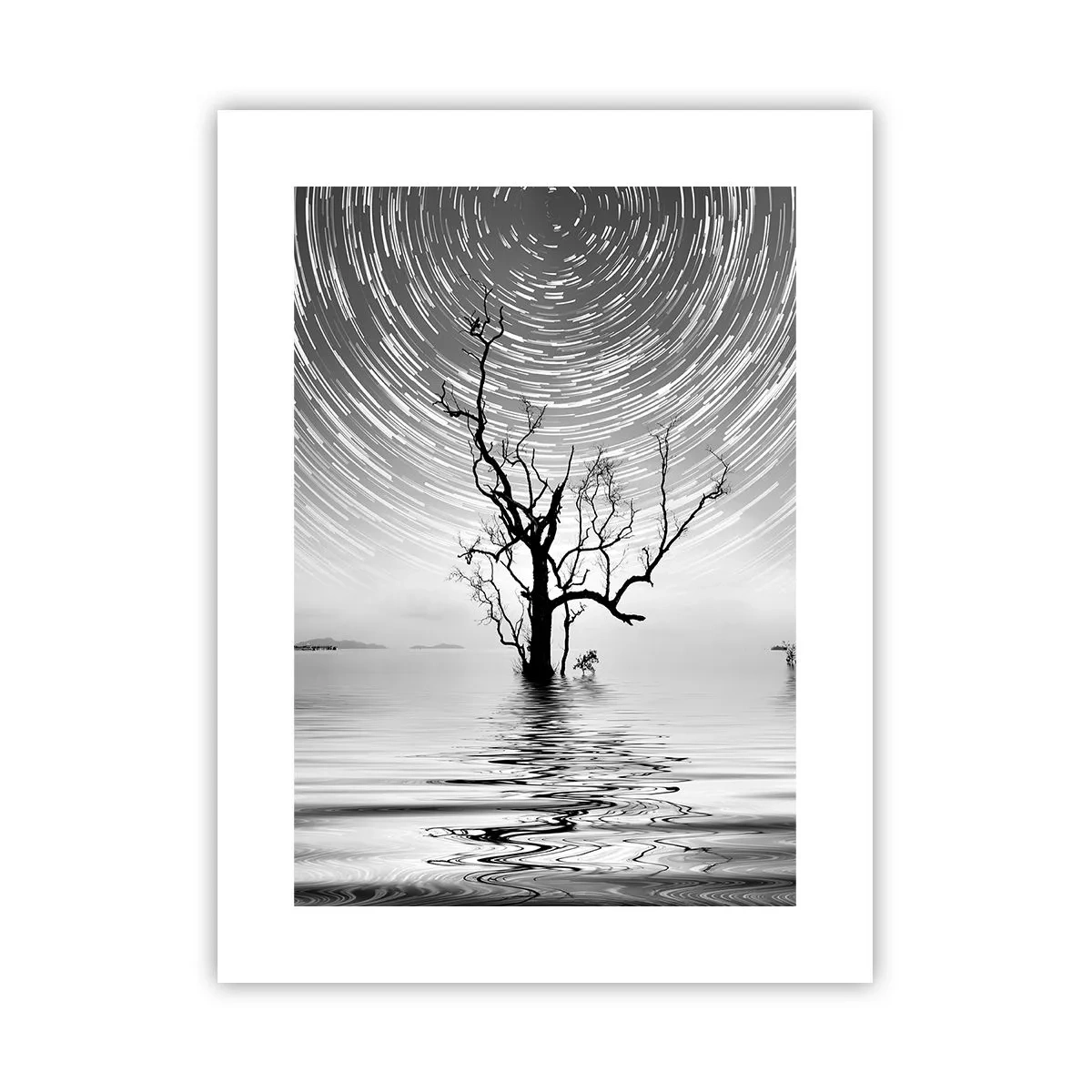 Poszter - A természet szimfóniája - 30x40 cm