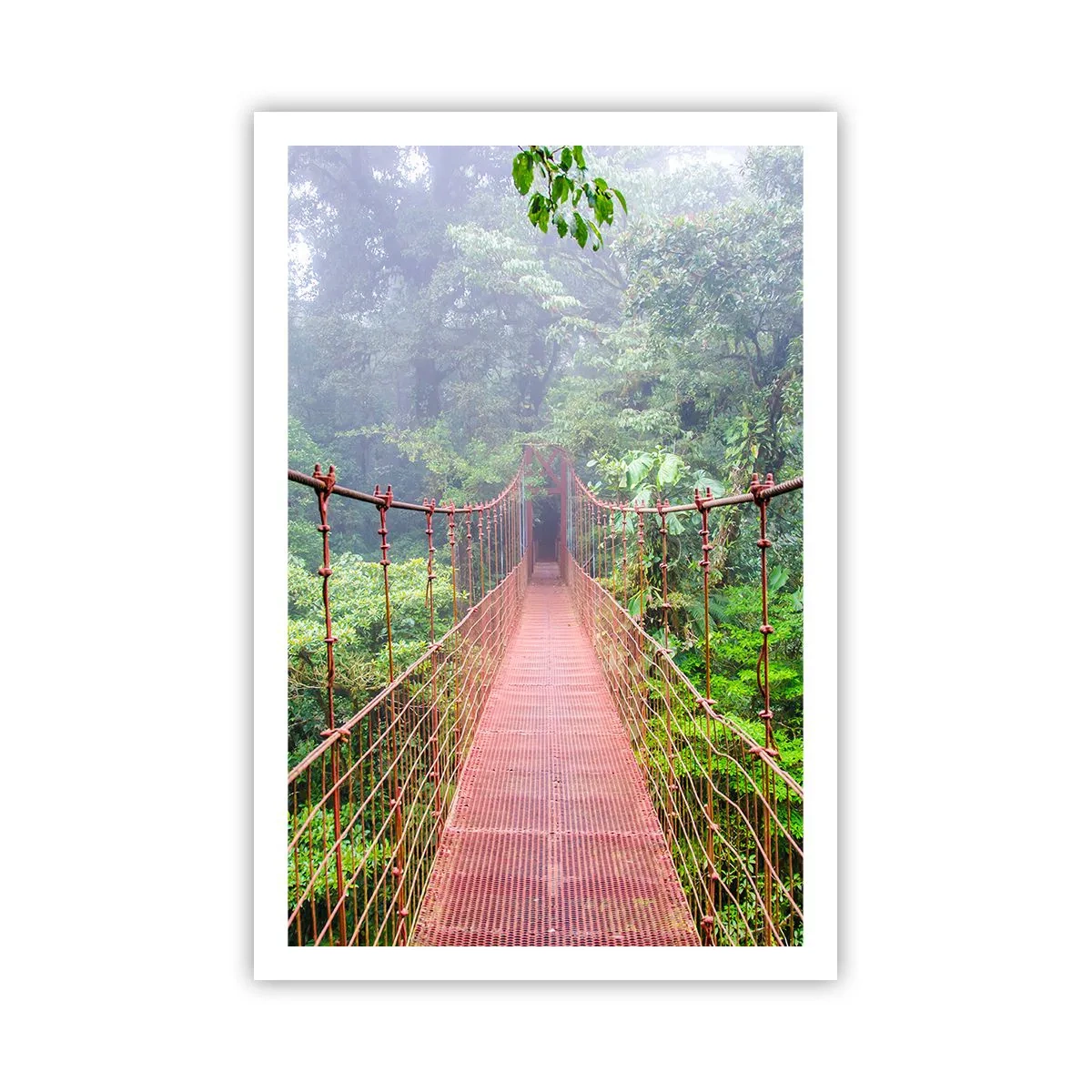 Poszter - A lomkoronák fölé függesztve - 61x91 cm