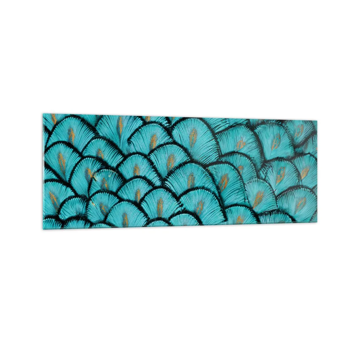 Üveg kép - A tollak nagy gálája - 140x50 cm