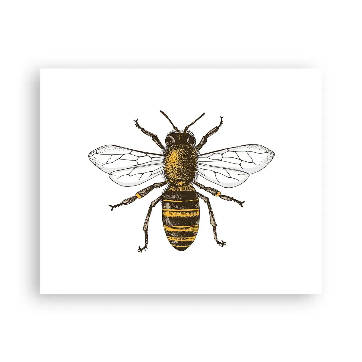 Poszter - Gyönyörű és jó - 50x40 cm