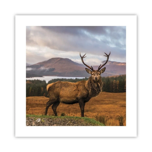 Poszter - A természet fensége - 40x40 cm