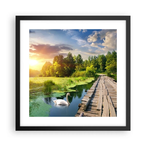 Poszter fehér keretben - Nyár, mindenhol nyár - 40x40 cm