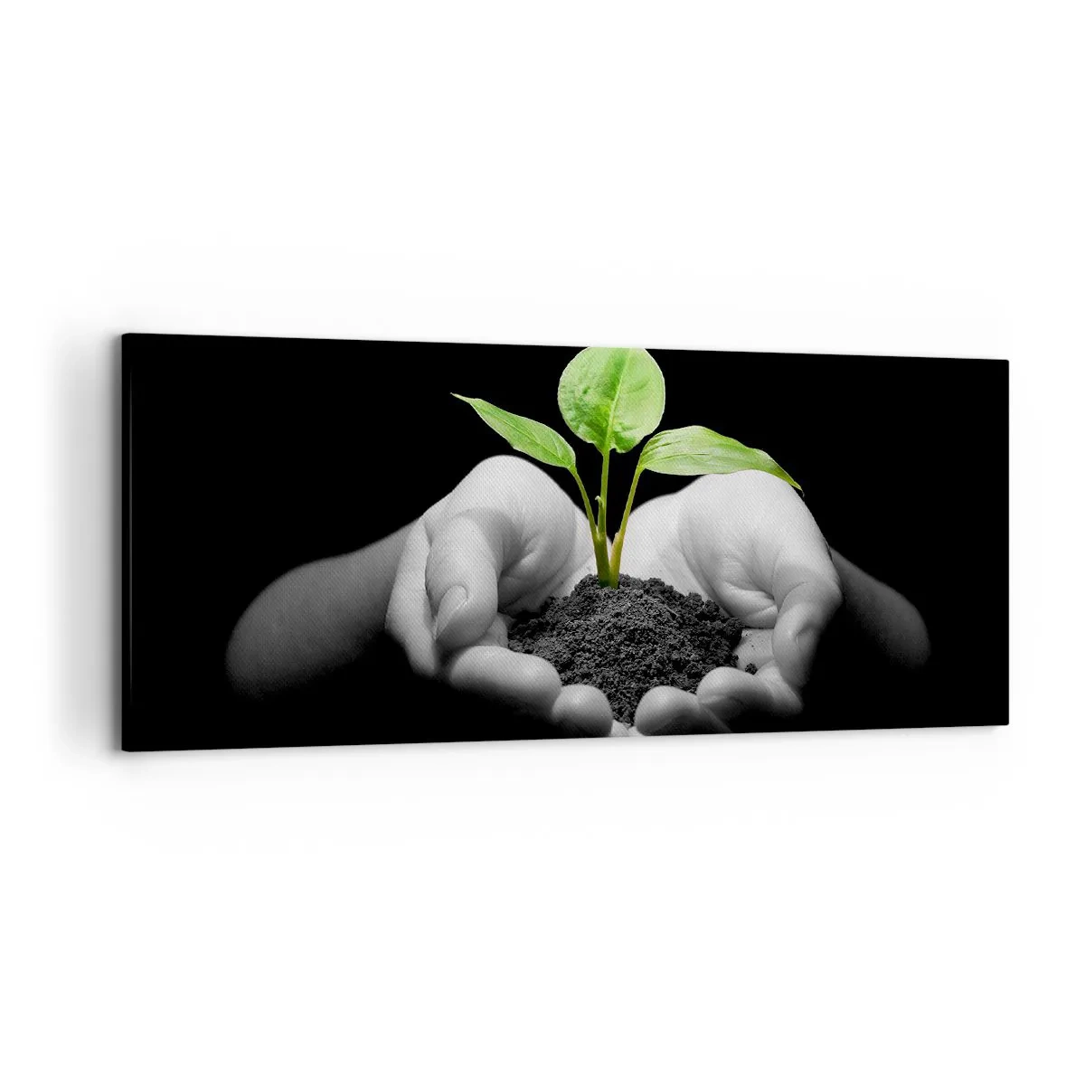 Vászonkép - Szeretem a természetet, védem azt - 120x50 cm