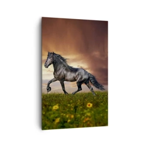 Vászonkép - Fekete herceg - 80x120 cm