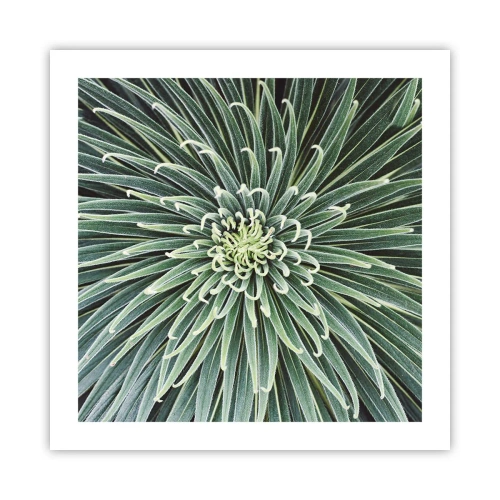 Poszter - Csillag születik - 50x50 cm