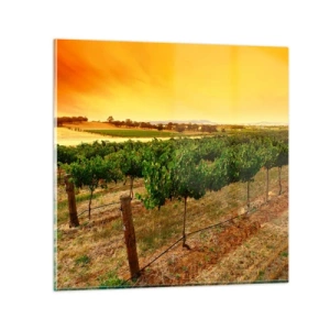 Üveg kép - Inni a napot - 30x30 cm