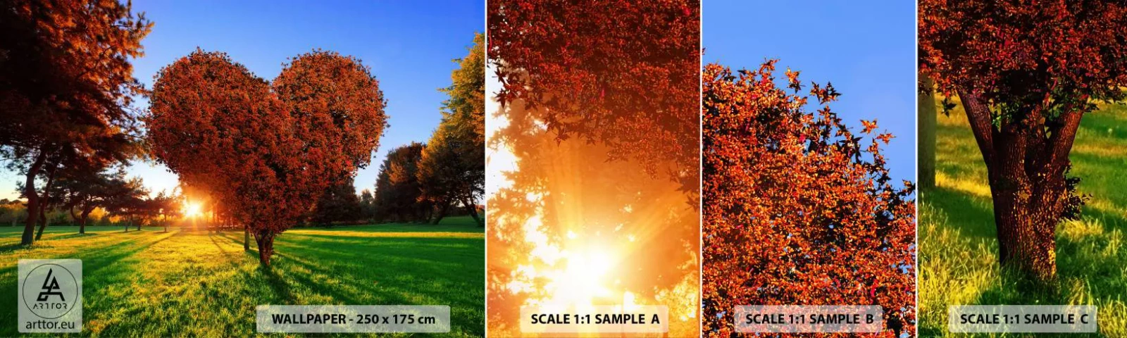 Fotótapéta Minta Öntapadós Deluxe Sticker - És hogyan ne szeressük az őszt - Tájkép, Fa, A nap sugarai - 100x30 cm