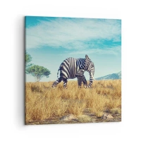 60x60 cm | Négyzetes