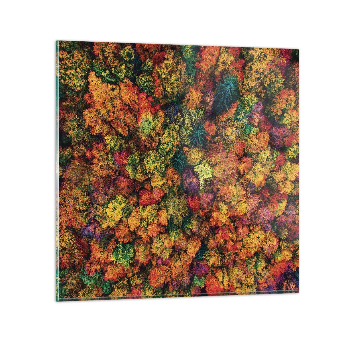 Üveg kép - Őszi facsokor - 50x50 cm
