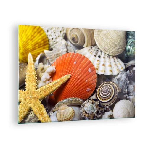 Üveg kép - Színes kagylók és tengeri csillagok tengeri kompozícióban - 70x50cm - Óceán kincsei - Modern fali dekoráció nappalihoz és hálószobához ARTTOR