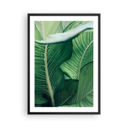 Poszter fehér keretben - Egy növény zöld leveleinek közeli képe - 50x70cm - Intenzíven zöld élet - Modern fali dekoráció nappalihoz és hálószobához ARTTOR