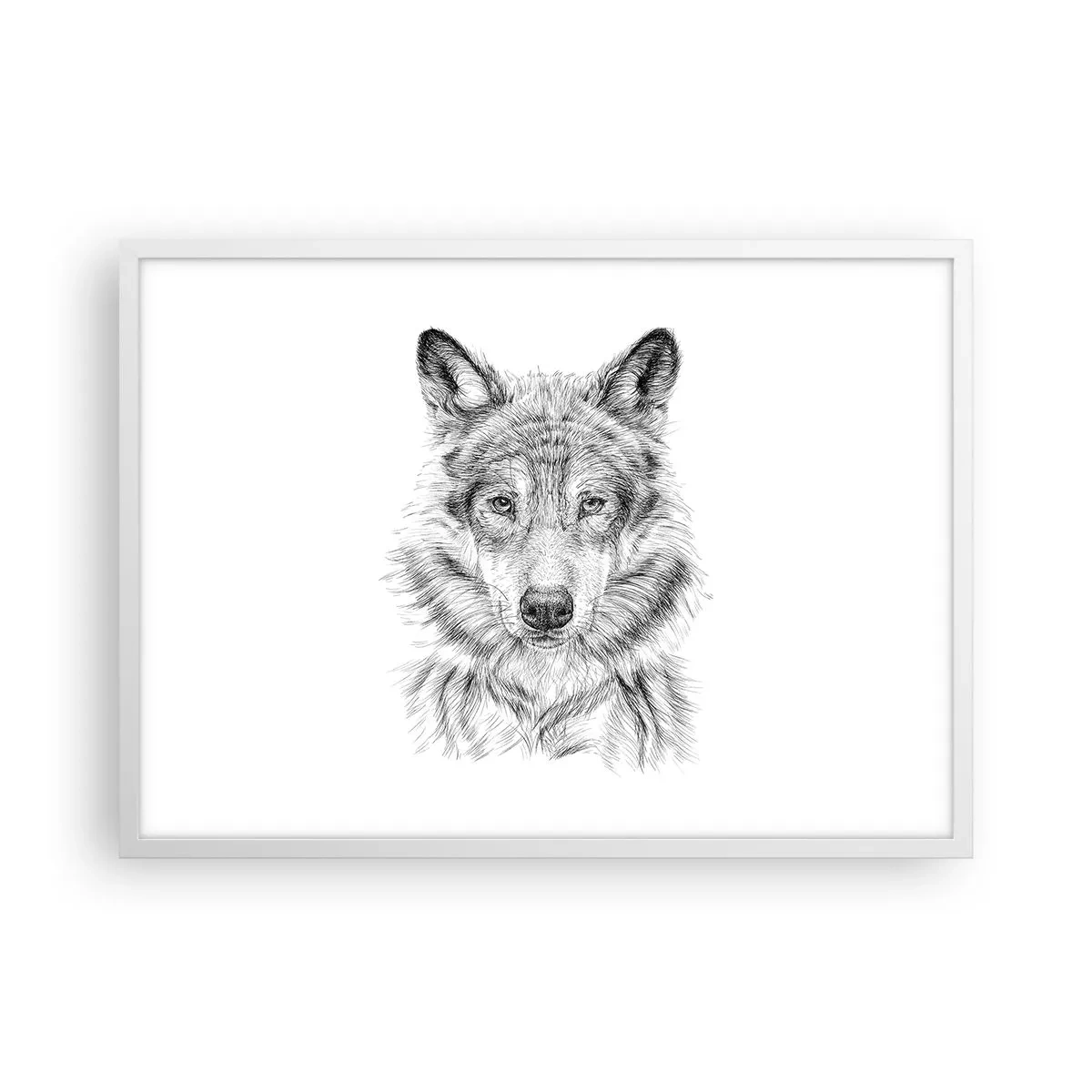 Poszter fekete keretben - Született vezető - 70x50 cm