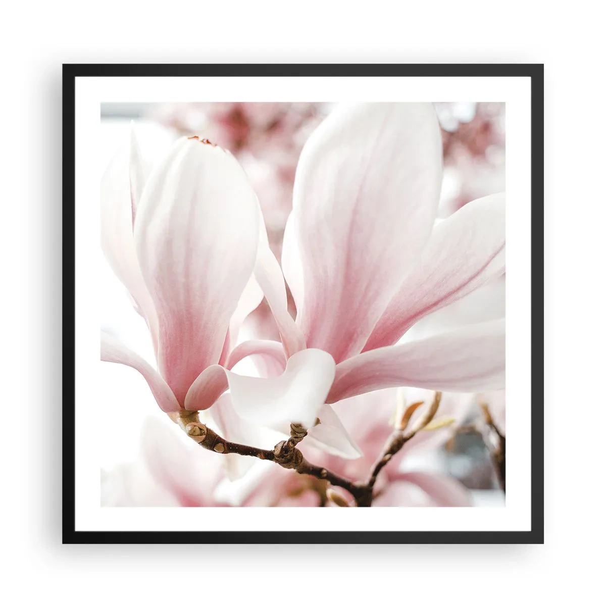 Poszter fehér keretben - Határtalan gyengédség - 60x60 cm