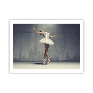 Poszter - Könnyű, mint a madár - 70x50 cm