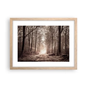Poszter világos tölgy keretben - Erdei katedrális - 40x30 cm