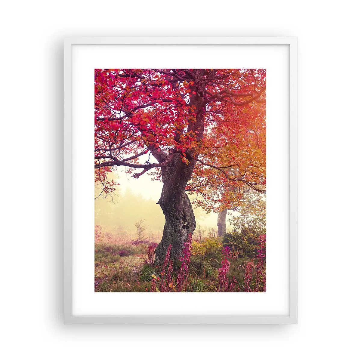 Poszter fekete keretben - Virágzás őrülete - 40x50 cm