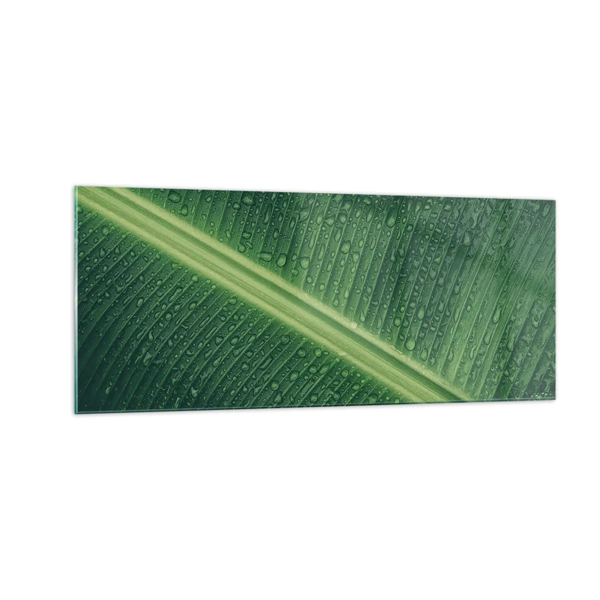Üveg kép - A növényzet szerkezete - 100x40 cm
