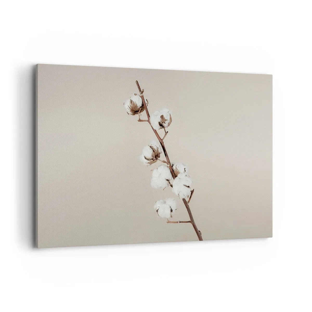 Vászonkép - A puhaság forrásánál - 120x80 cm