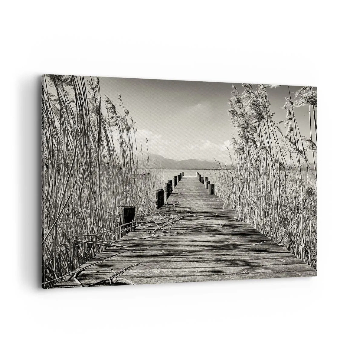 Vászonkép - A fű csendjében - 100x70 cm