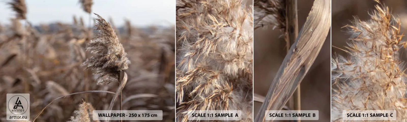 Fotótapéta Minta Öntapadós Deluxe Sticker - Ideje elrepülni a széllel - Rét, Pampas fű, Természet - 100x30 cm