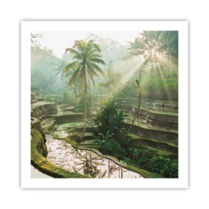 Poszter - Felnőni a napon - 60x60 cm