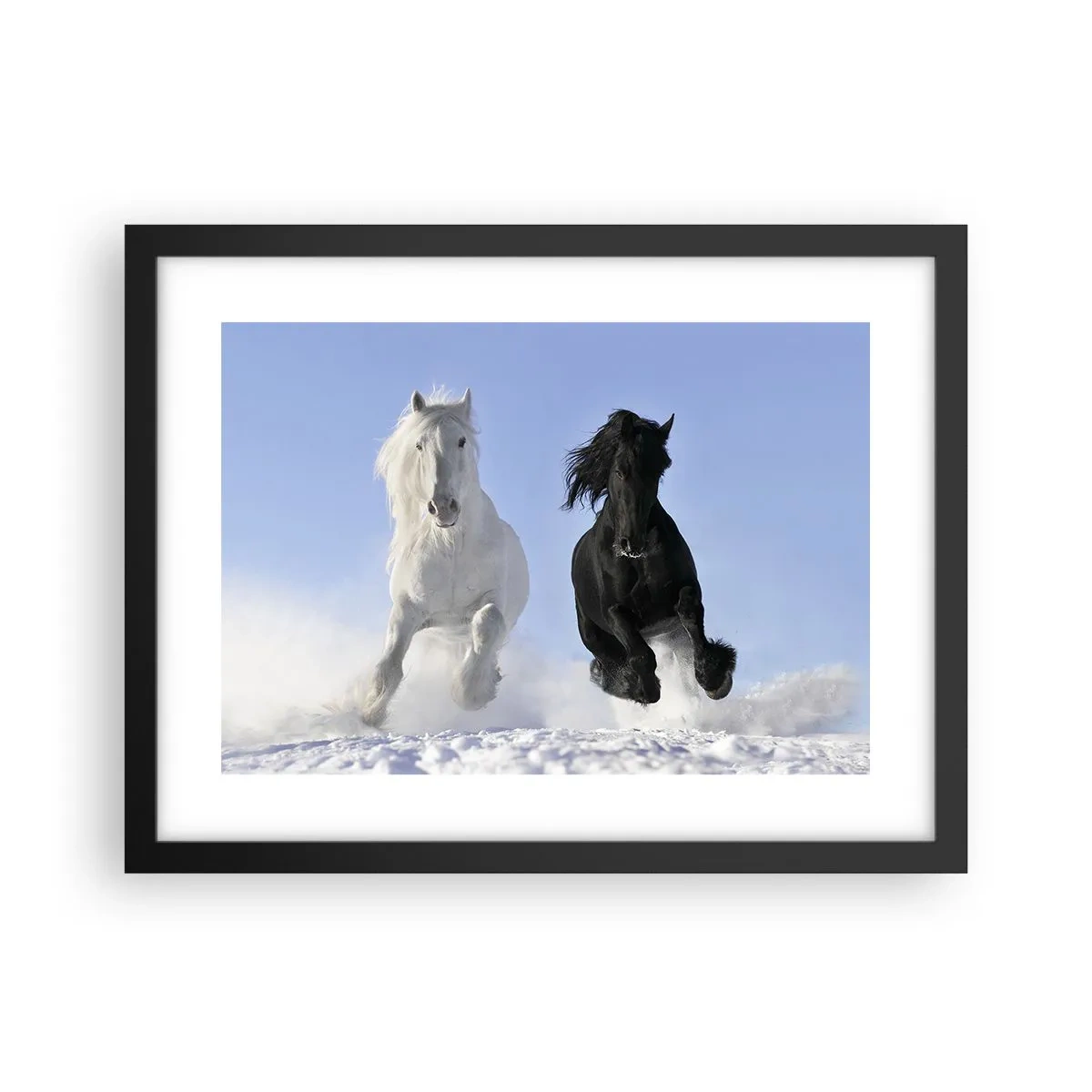 Poszter fehér keretben - Fekete-fehér galopp - 40x30 cm