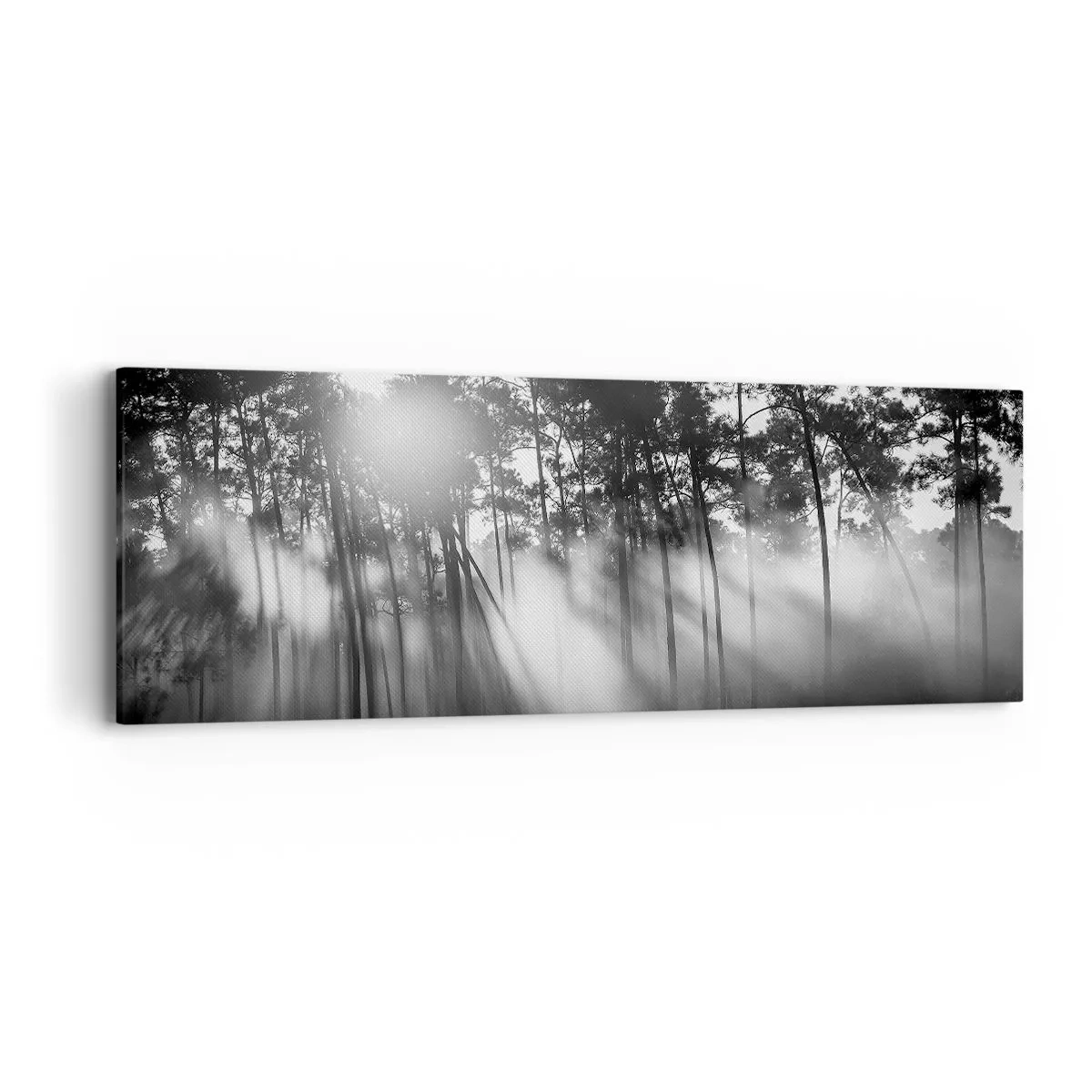 Vászonkép - Megállíthatatlan nap - 90x30 cm